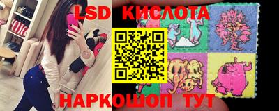 прущие грибы Вязьма