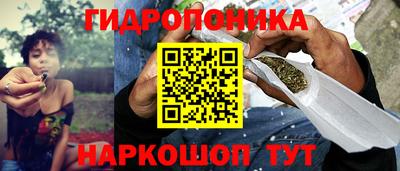 spice Вышний Волочёк