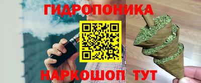 spice Вышний Волочёк