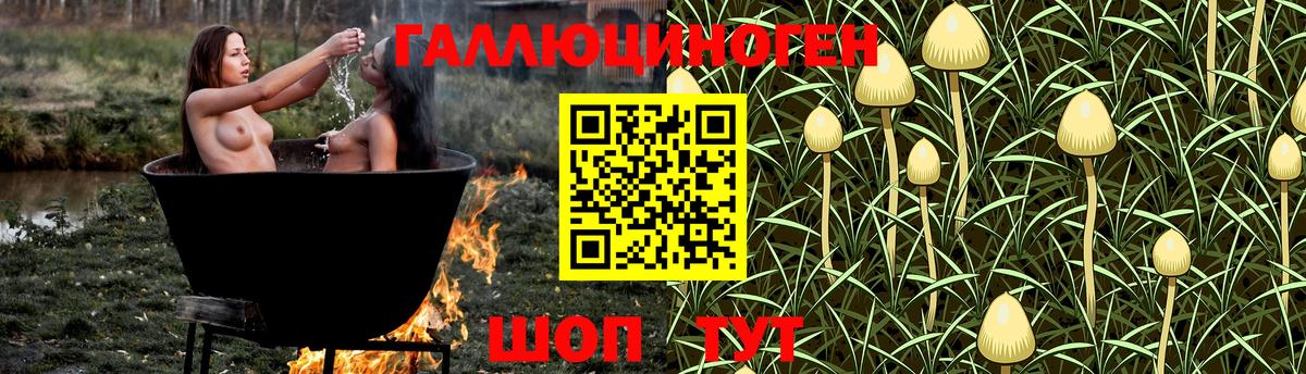 Добрянка  Псилоцибиновые грибы прущие грибы  Вход с VPN 